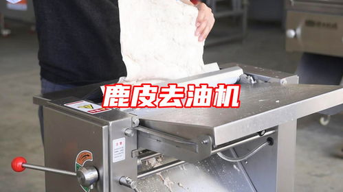 鹿皮去油用什么機器 自動刮肉皮油脂機多功能豬皮去油機